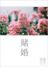 赌婚 一字眉