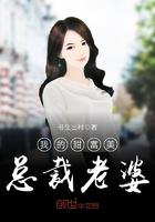 我的甜富美总裁老婆漫画