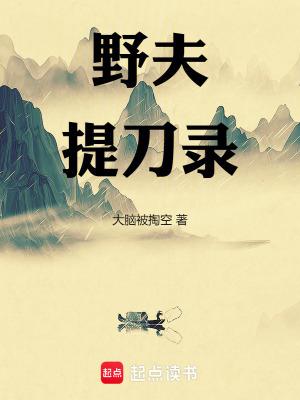 野夫提刀录 无错版