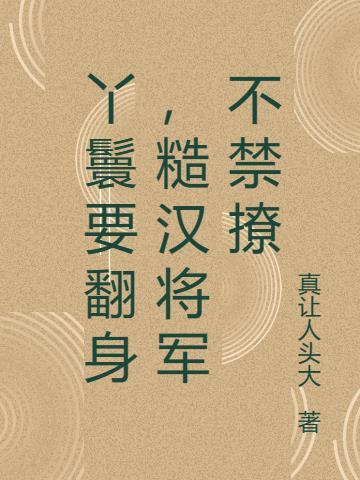 丫鬟和将军的