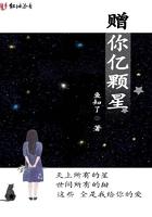 陕西亿颗星